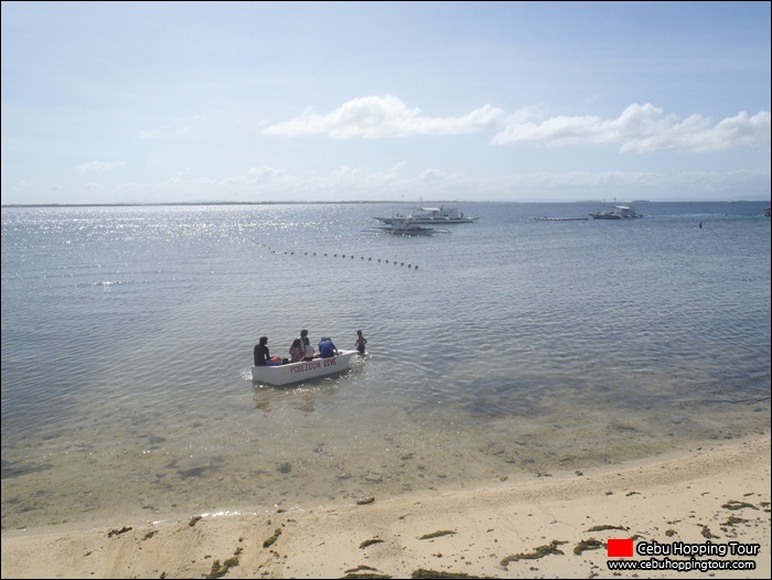 Cebu Nalusuan island hopping tour - 1 Jan 2013