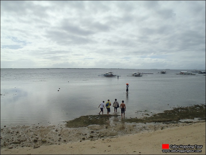 Cebu Nalusuan island hopping tour - 2 Jan 2012