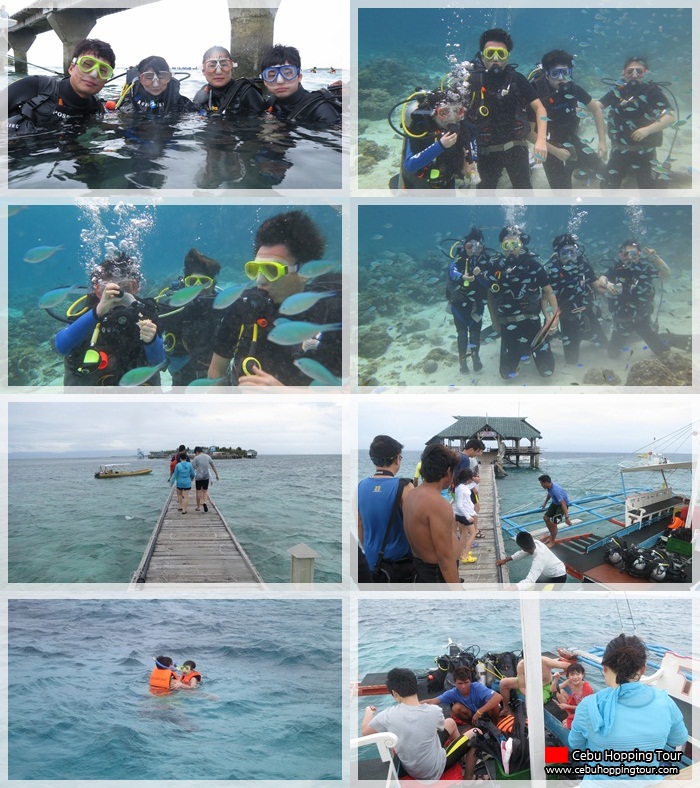 Cebu Nalusuan island hopping tour & Discover Scuba Diving - 15 Jan 2013