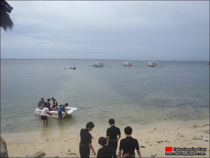 Cebu Nalusuan island hopping tour - 17 Jan 2013