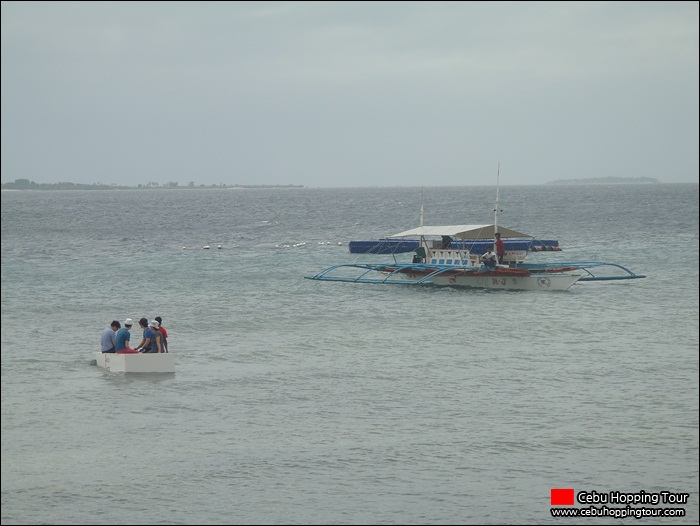 Cebu Nalusuan island hopping tour - 19 Jan 2013