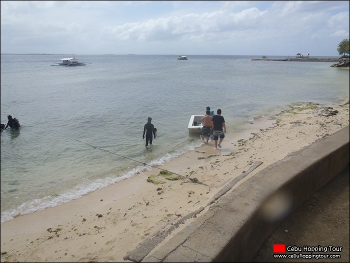 Cebu Nalusuan island hopping tour -  17 Feb 2013