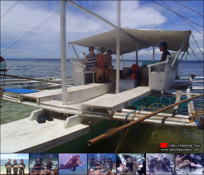 Cebu Nalusuan island hopping tour - 23 May 2013