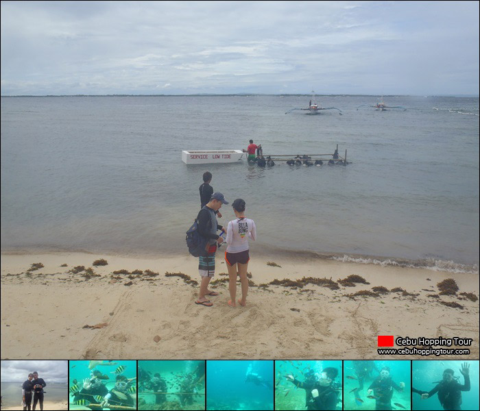 Cebu island hopping tour – 30 July 2013