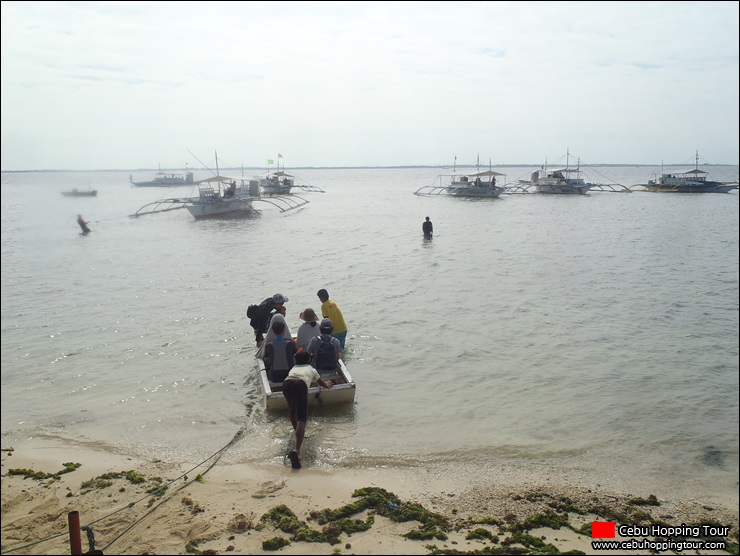 Cebu Hilutungan & Nalusuan island hopping tour - 15 Feb 2014