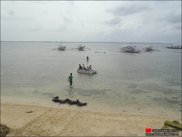 Cebu Nalusuan, Olango island hopping tour - 23 Feb 2014