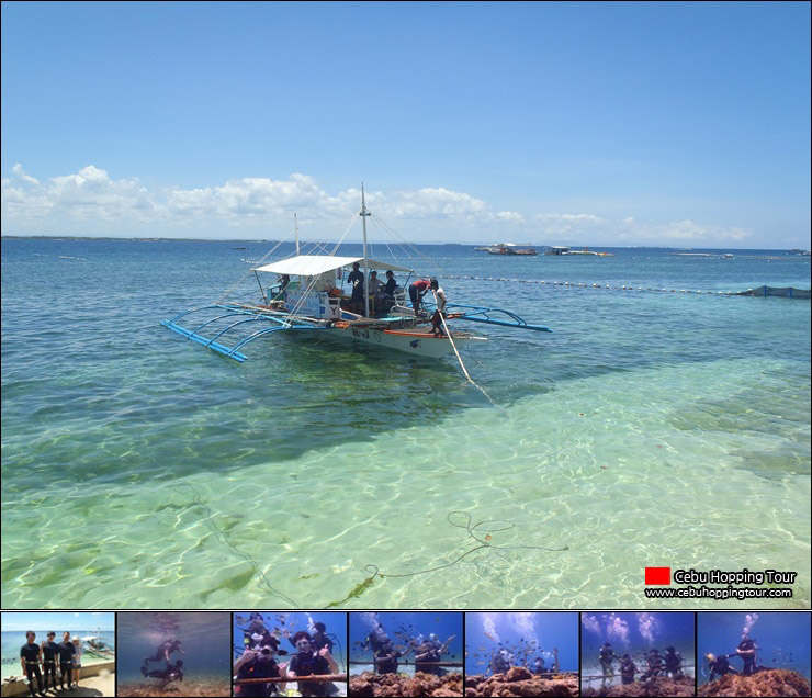 Cebu Nalusuan island hopping tour - 1 Apr 2014