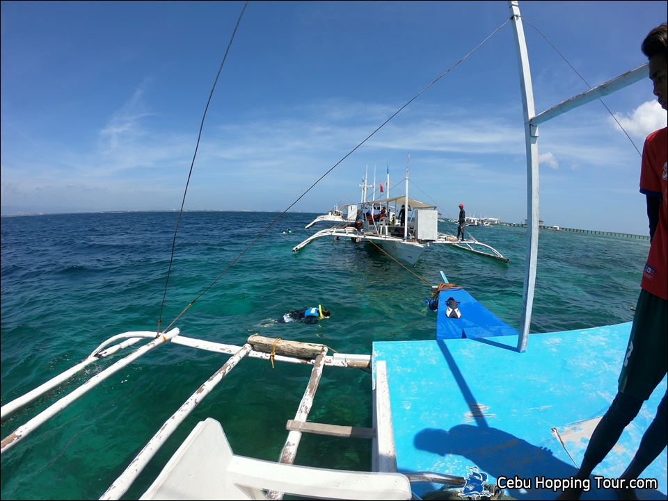 Cebu Hilutungan island hopping tour on 11 Feb 2020