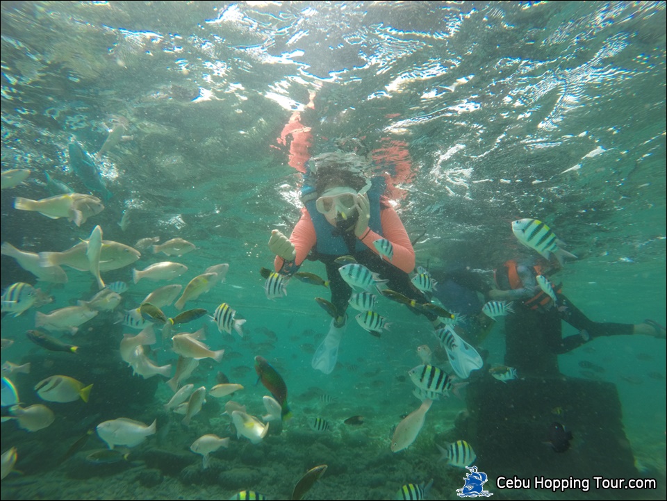 Cebu Hilutungan & Nalusuan island hopping tour on 14 Feb 2020