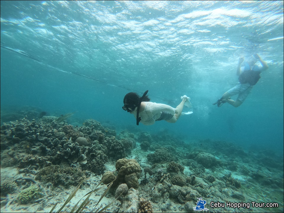 Cebu Hilutungan & Nalusuan island hopping tour on 6 Feb 2020