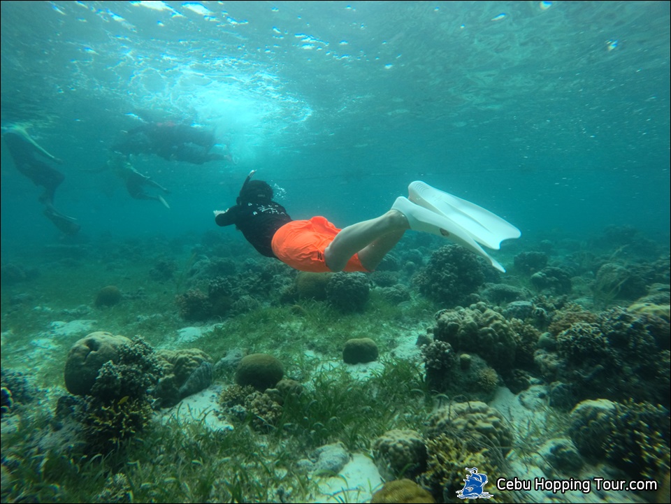 Cebu Hilutungan & Nalusuan island hopping tour, Sunset hopping tour  on 9 Feb 2020